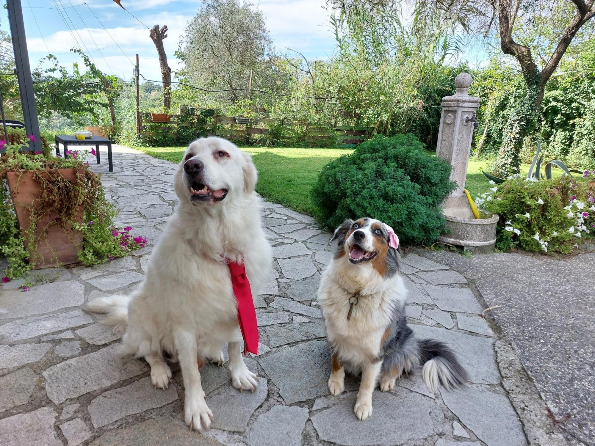 Il Giardino Del Nespolo Otel Arcola Dış mekan fotoğraf